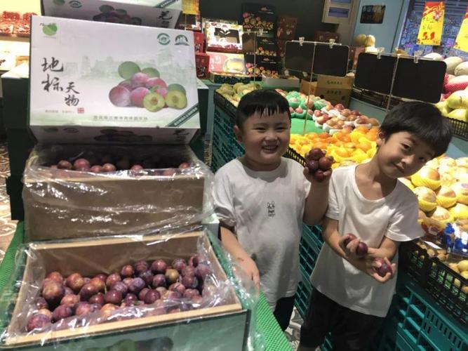 京东物流温岭营运部电话