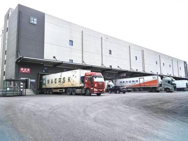 深圳市深国际物流发展有限公司