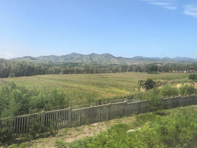 天天快递泉山十一部在哪