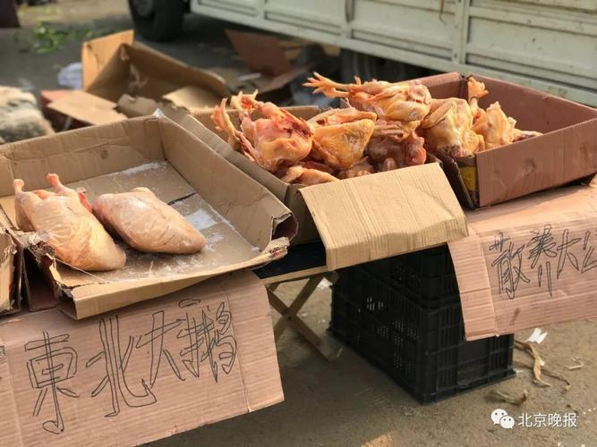 京东舟山佛光配送站地址