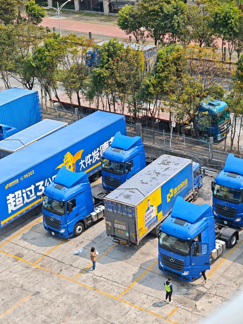 桂东沙田德邦物流在哪里