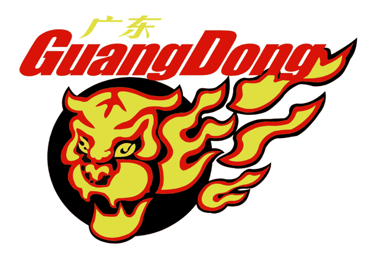 华南广东飞远物流查询